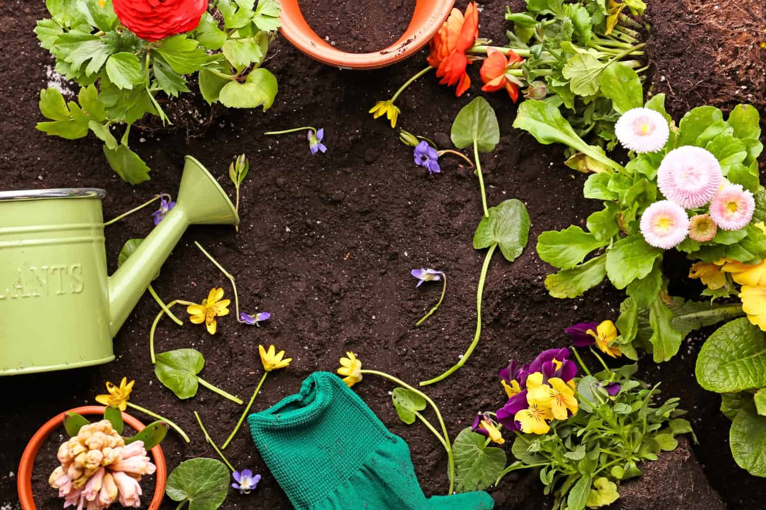 270 Garden Instagram Captions & Quotes to Nurture Your Feed