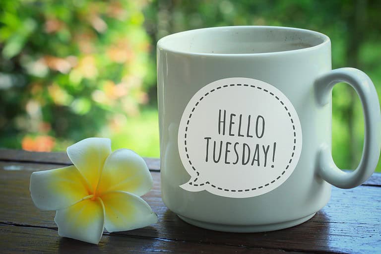tuesday instagram captions