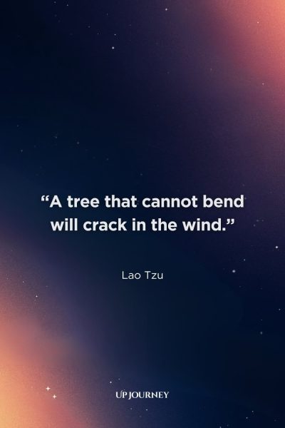 Lao Tzu Quotes on Strength and Flexibility: "A tree that cannot bend will crack in the wind."