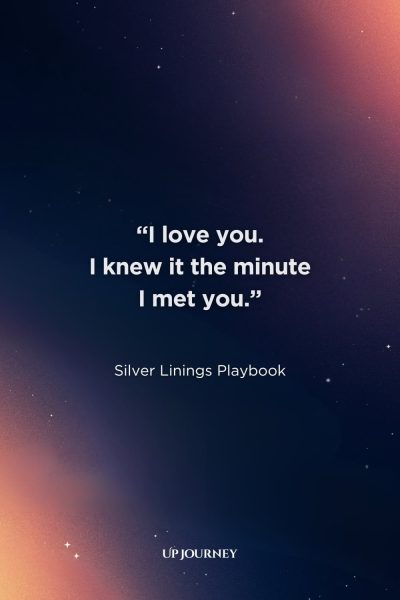 Love Quotes for Her from Books, Movies, and TV Shows: "I love you. I knew it the minute I met you." — Silver Linings Playbook